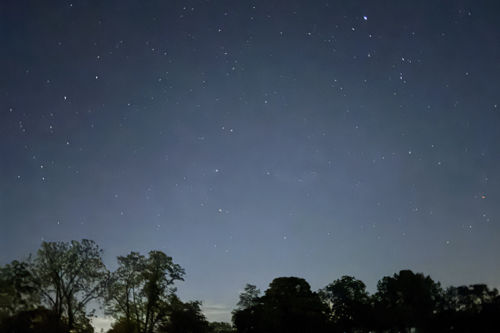 Night sky with stars and a tree line on the bottom