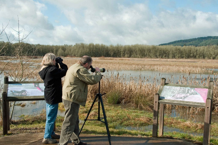 A man and a woman are watching for birds at Wildwood Lake park.