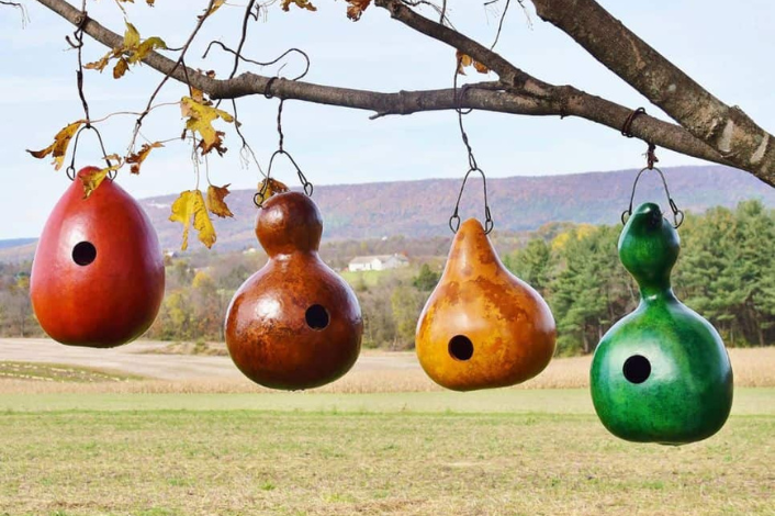 4 painted birdhouse gourds hanging from a tree branch