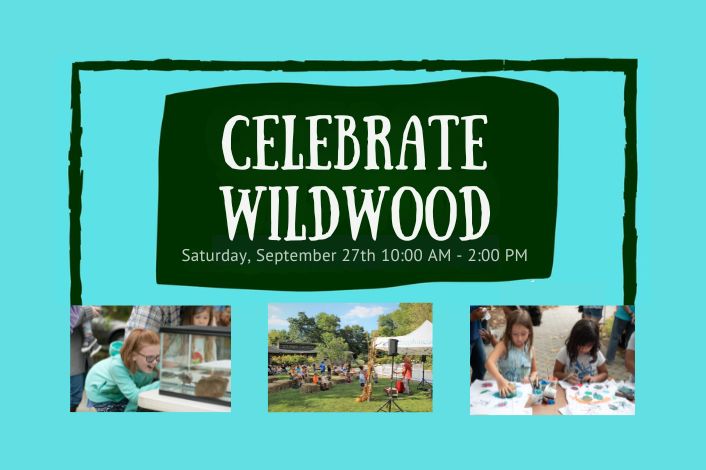Flyer advertising celebrate wildwood