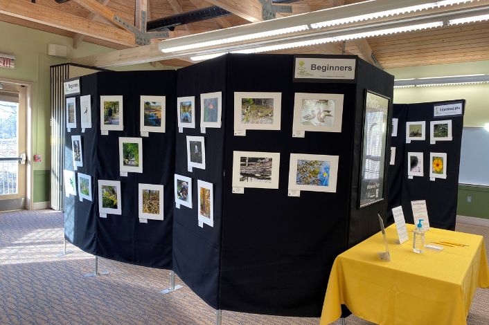 Display of photo contest enteries