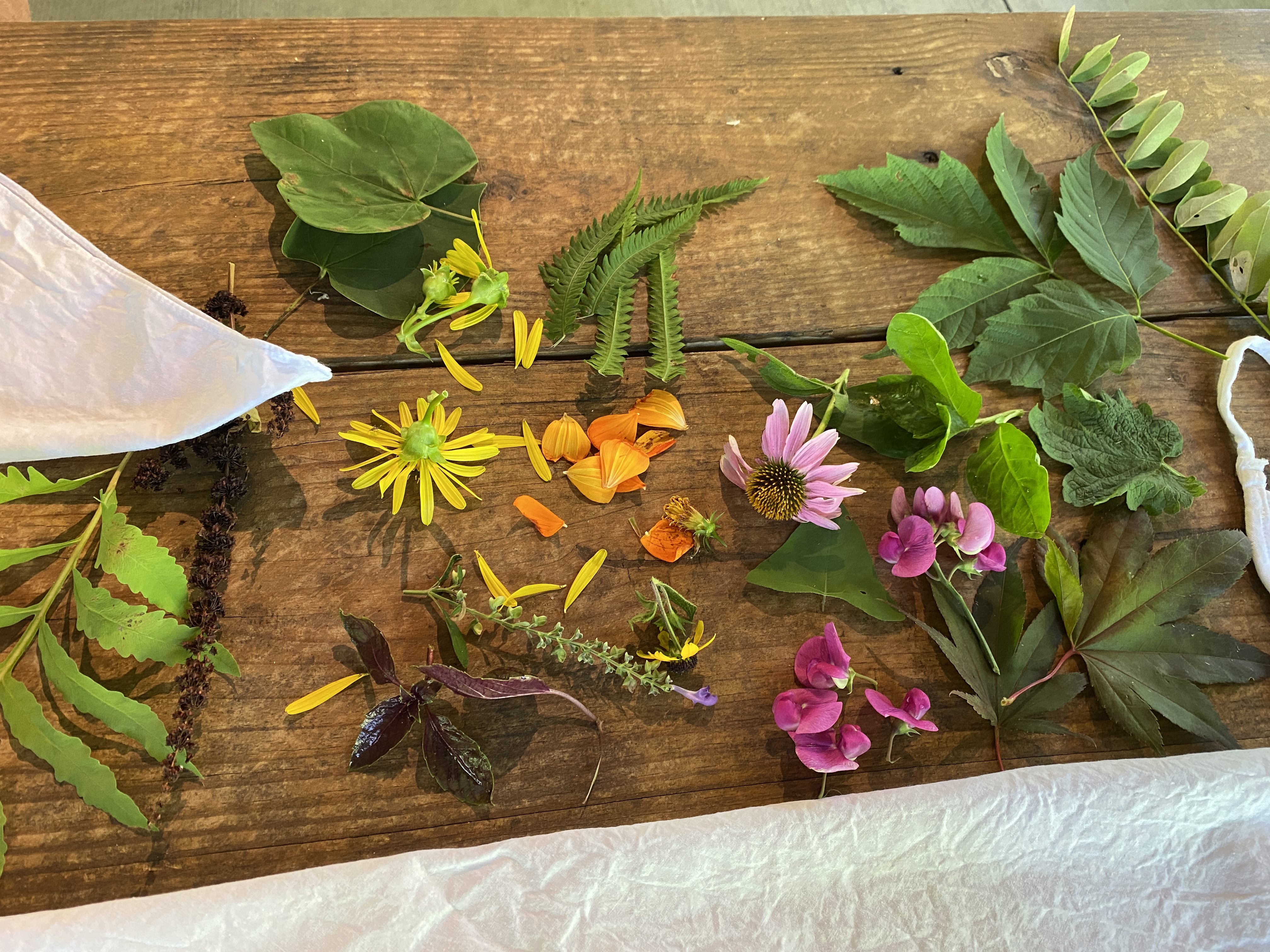 A wooden table with different flower petals and leaves scattered about with all different colors represented