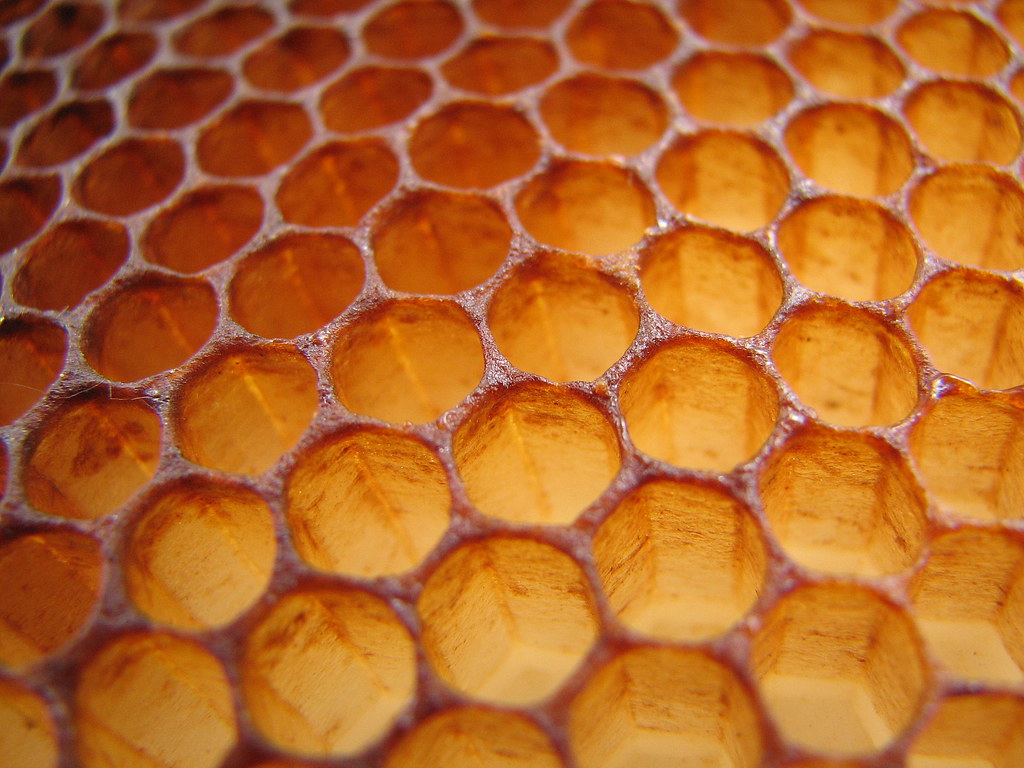 Honeycombs close up