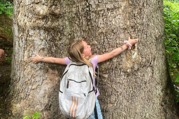 Young girl hugging a huge tree