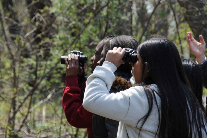 Children looking through binoculars at birds