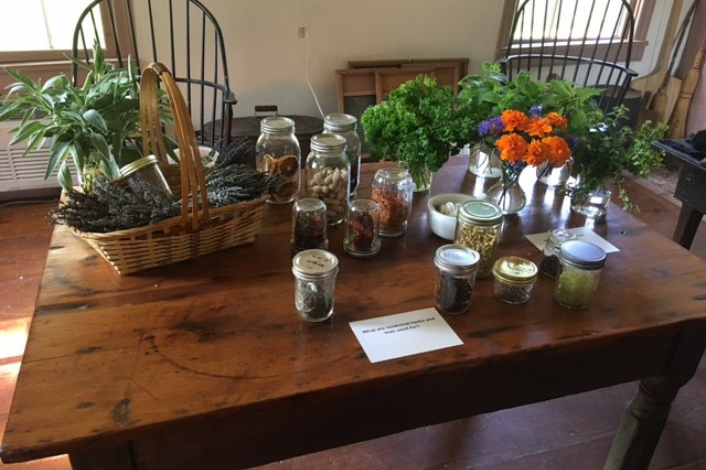 Kitchen Table with Plants, Herbs and Caning Jars