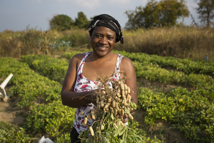 Community Gardens