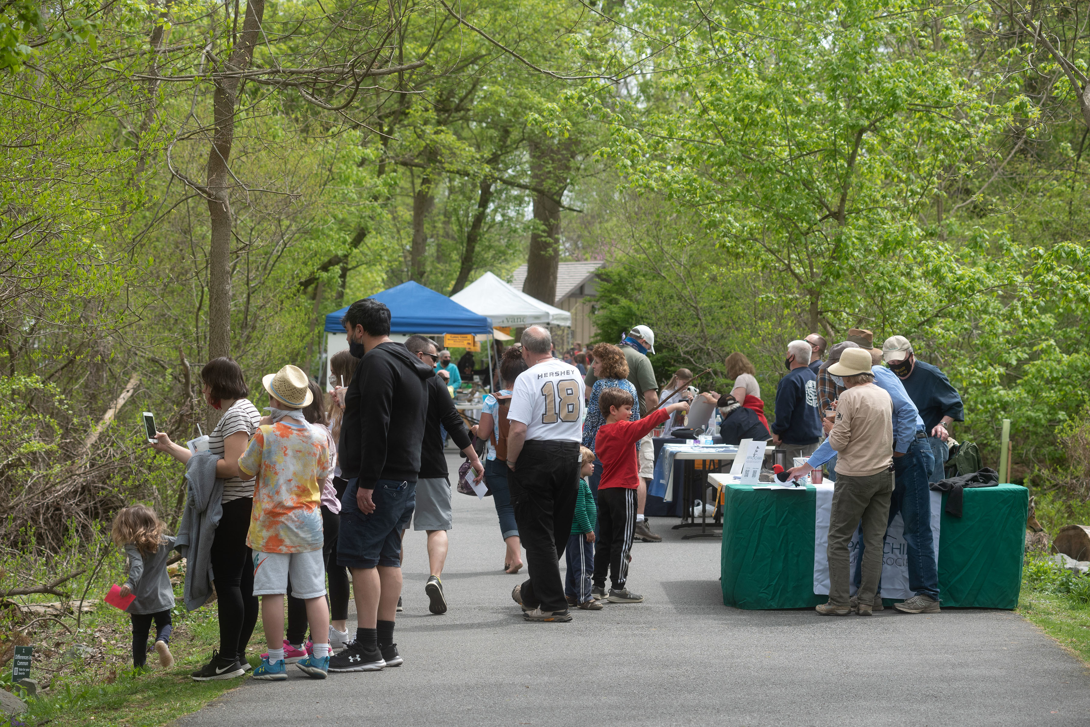 Wetlands Festival Image of Booth Vendors