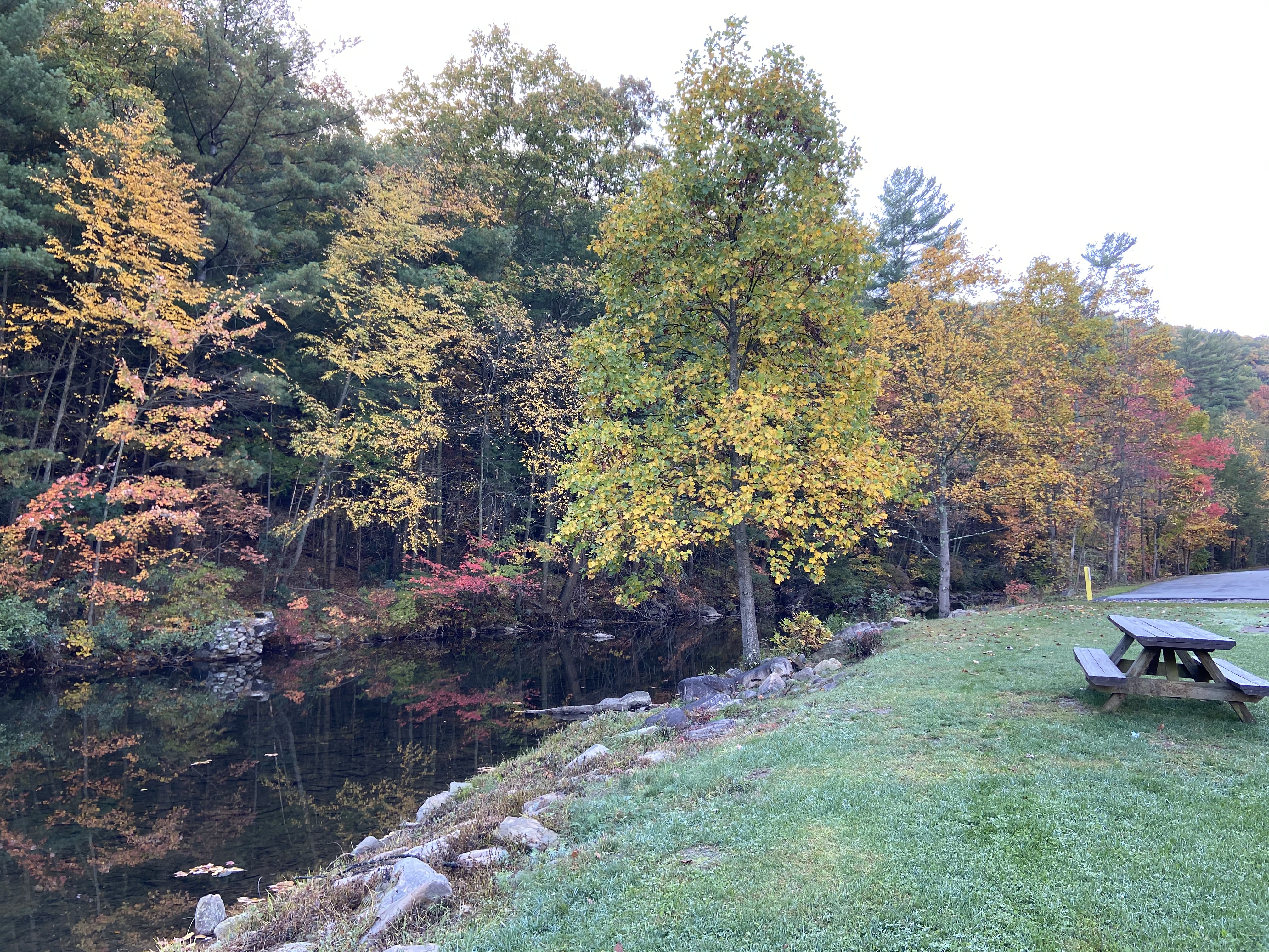 Lykens Glen Park