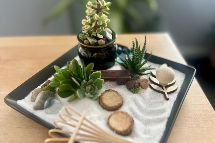 Zen Garden Planter with plants, sand, rake and other accessories
