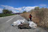 Person picking up trash along the road