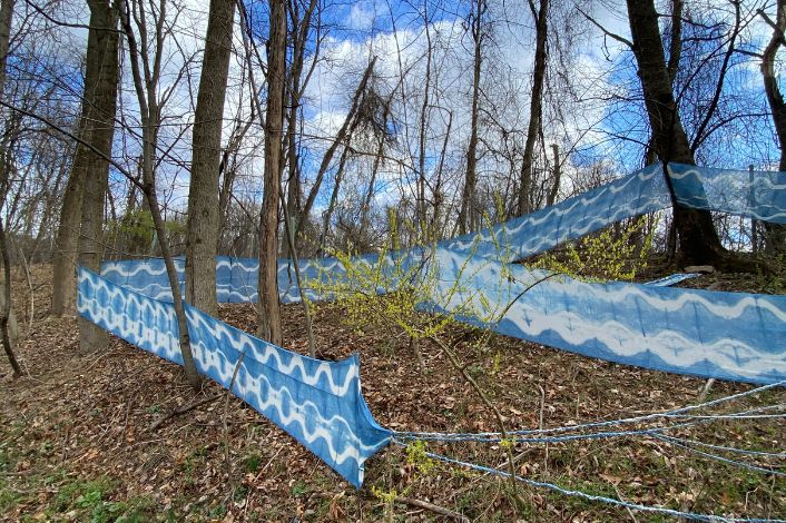 Dyed sculpture in woods