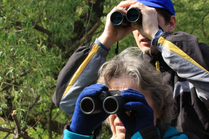 Two people with binoculars watching birds