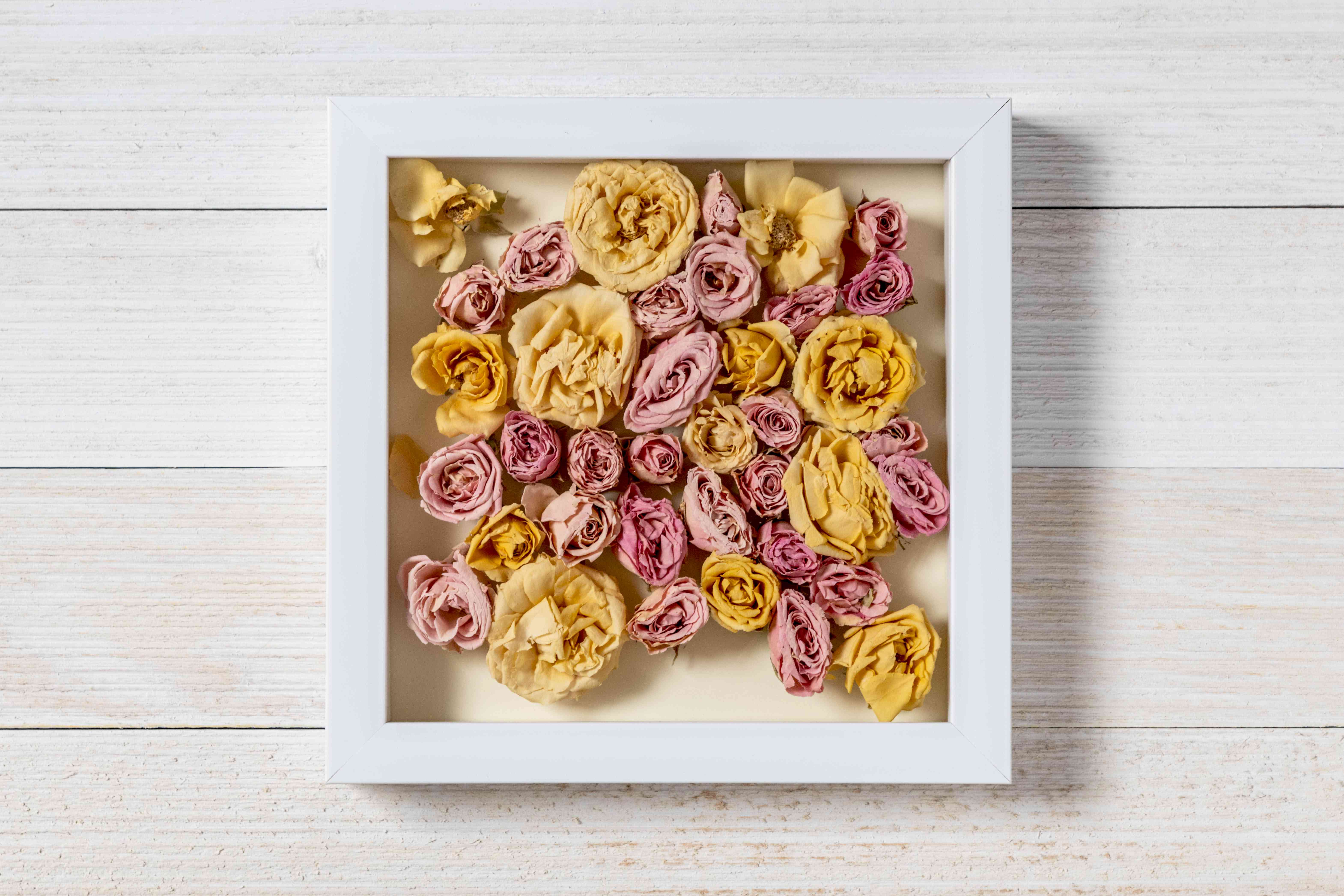 dried flower shadow box