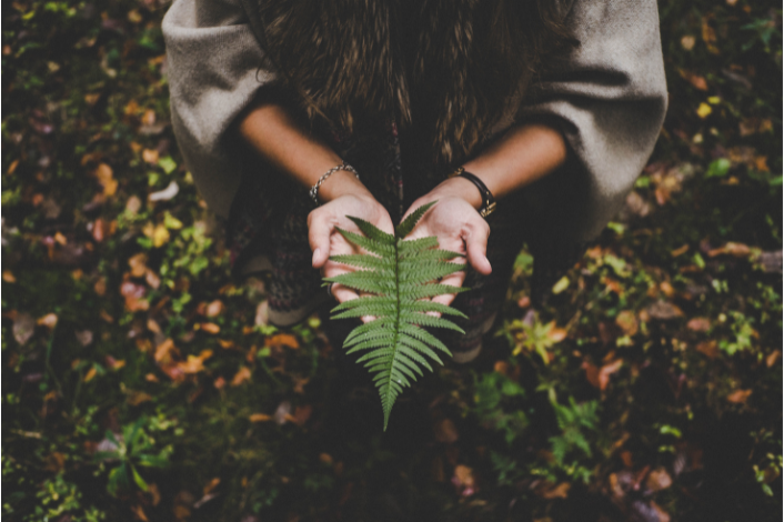 A person holding a fern