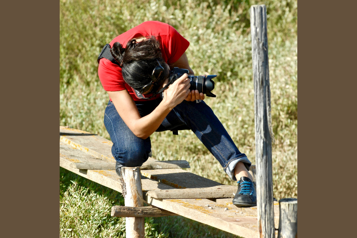 Introduction to Wildlife Photography Workshop