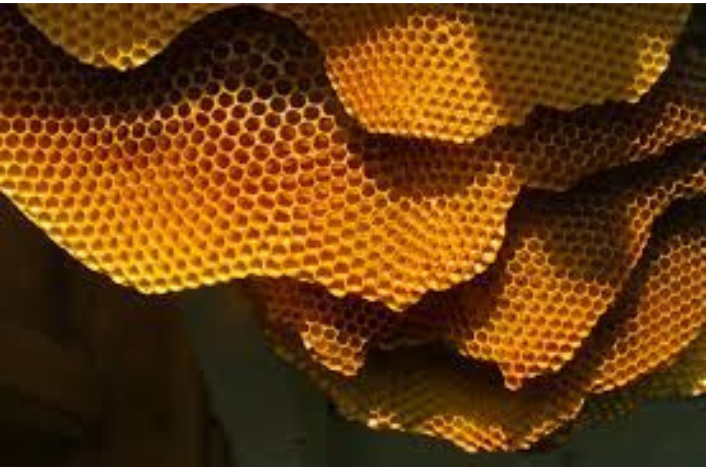 Honeycombs