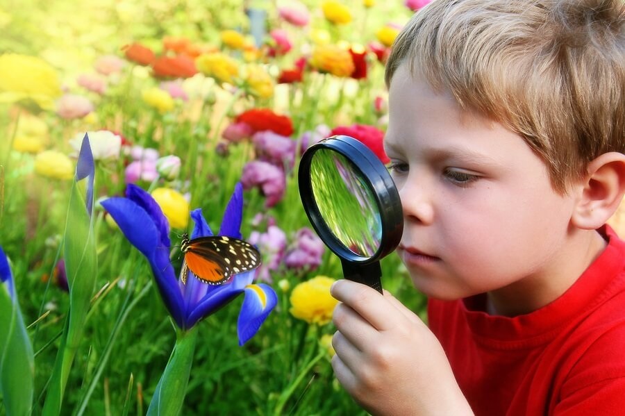 Child looking at butterfly under magnifying glass