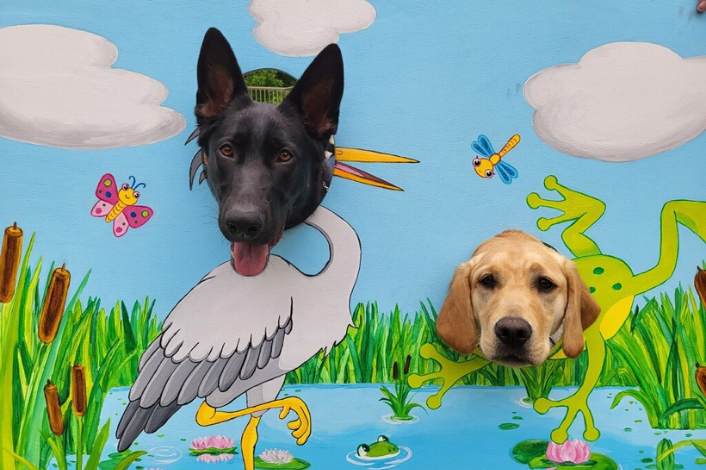 Two Dogs in a Photo Board Pretending to be a Goose and a Frog