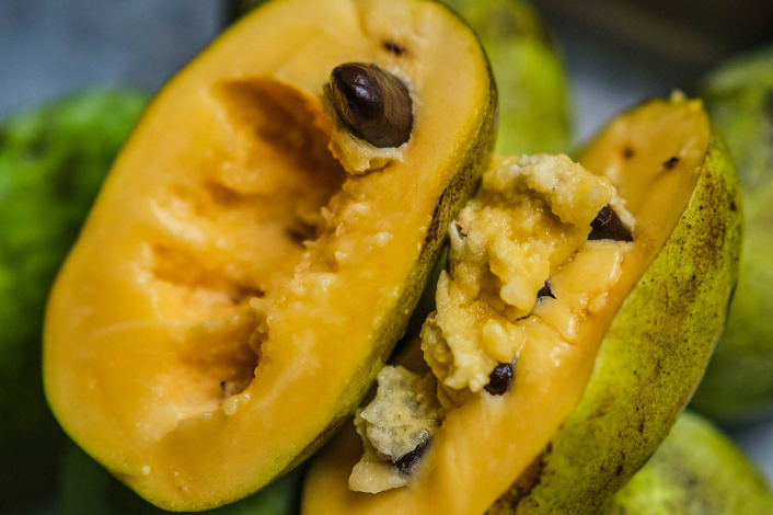 Paw paw