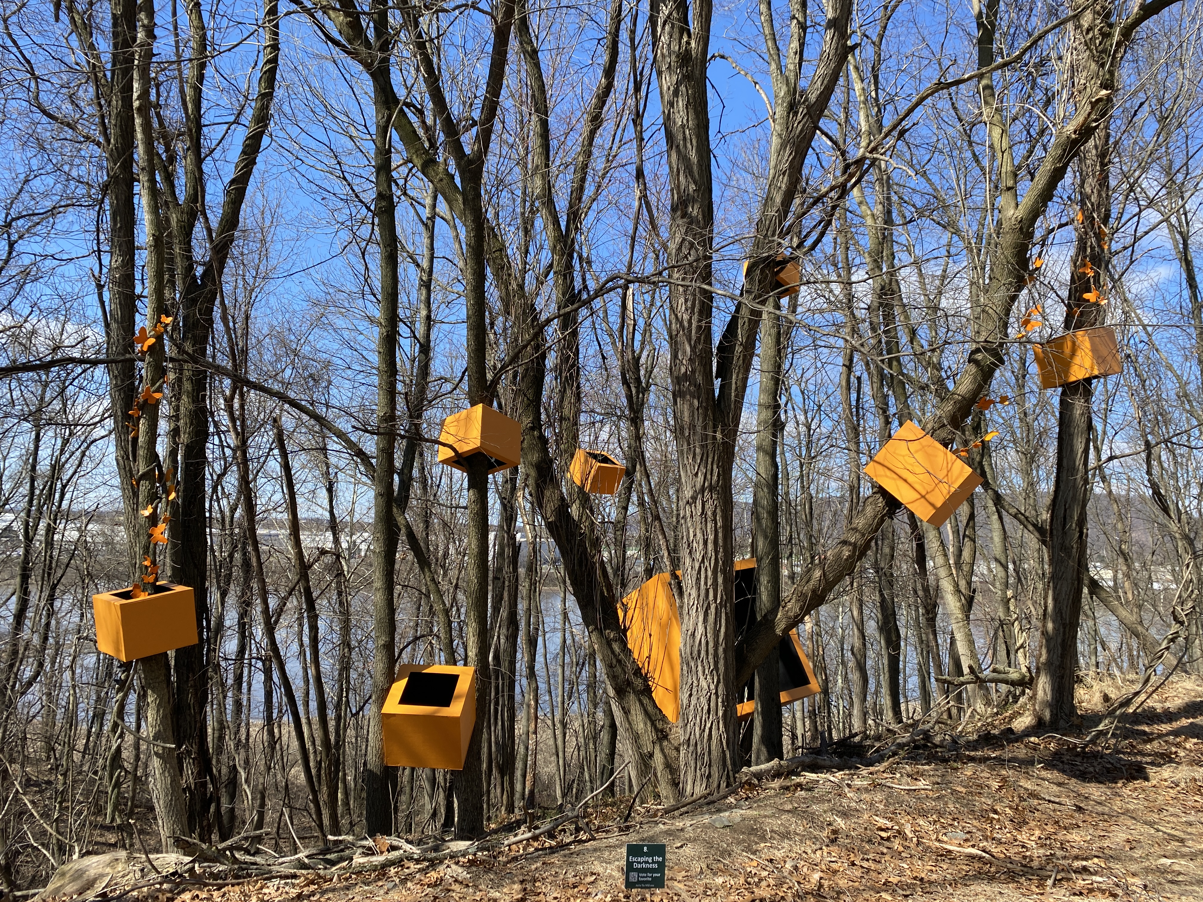 Picture of orange and black boxes of different sizes hanging at different heights and different angles from bare trees in close proximity