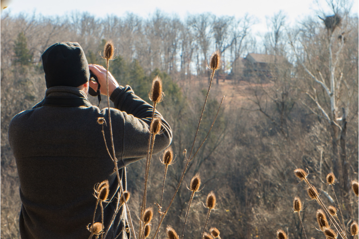 man with binoculars viewing birds/nature