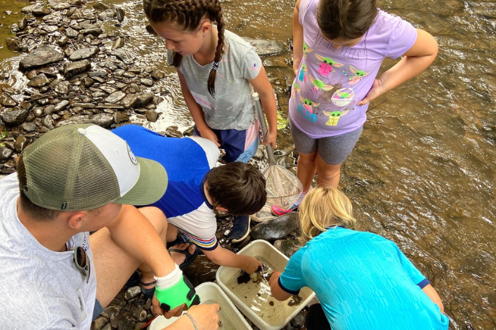 Kids playing by the side of a creek looking for critters in the water