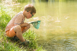 Boy with a net on a riverbank looking for Pollywogs