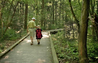 Man and boy walking on boardwalk in trees