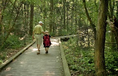 Man and boy walking on boardwalk in trees